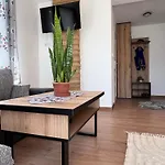 Gorski Relaks Διαμέρισμα Sromowce Niżne